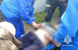 В Курской области пенсионер провалился в погреб