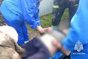 В Курской области пенсионер провалился в погреб