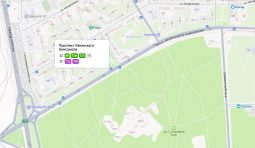 Курян приглашают  навести  порядок в  лесу на Волокно