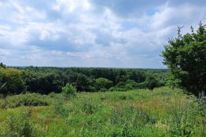 Определены границы охранной зоны памятника природы «Пискловское болото»