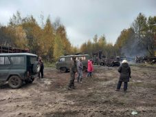 В лесах Курской области проводят ревизии