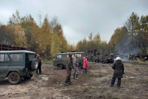 Леса проверяют ревизоры