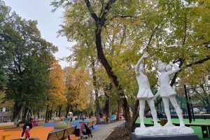 На месте катка в курском парке Пионеров откроют роллердром