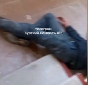 В Курске полиция проверит сообщение о проживании бездомного в подъезде на Радищева