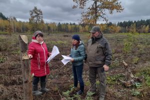 В Курской области проводят компенсационное лесовосстановление