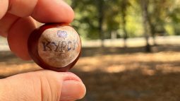 В Курскую область после дождей придет потепление