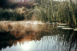 В Сейме обнаружили марганец