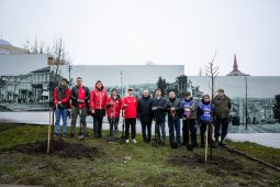 В Курске высадили 26 молодых лип на улице Дзержинского