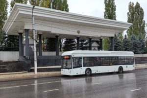 «Горожанин» понравился курянам