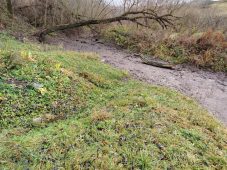 Река Кур, давшая название Курску, постепенно исчезает