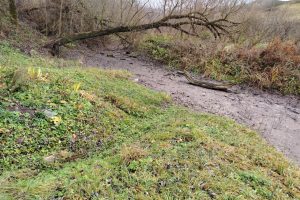 Не река, а сезонный ручей