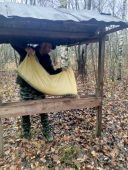 В Курской области за неделю  выложили более трёх тонн корма для диких животных