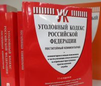 Курскому школьнику дали 8 лет за попытку поджога школы