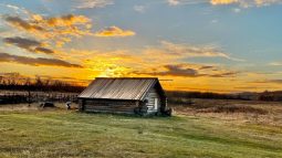 В Курской области расширили право на бесплатную землю для участников СВО и многодетных семей