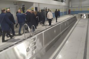 Бассейн нужен к Новому году