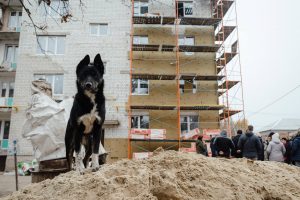 Приграничье готовится к зиме