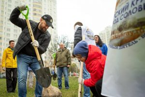 В Курске начали высадку лип в сквере «Молодёжный»