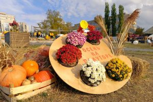 Федеральные эксперты высоко оценили фестиваль «Полугора»