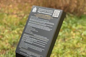 В «Соловьиной роще» Курска появится экотропа