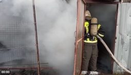 В Курском районе из-за электрообогревателя сгорела хозяйственная постройка с птицами