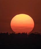 Курян предупредили о мощном за последние 25 лет радиационном шторме