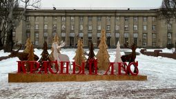В центре Курска не будут устанавливать новогодний декор «Красный лес»