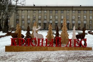 «Красный лес» разберут на части