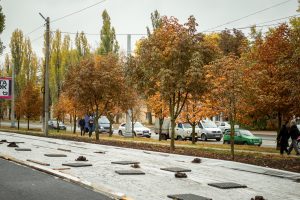 Тополя заменят на каштаны