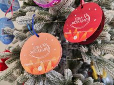 В Курской области стартовала Всероссийская «Ёлка желаний»