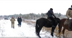 В курской области ущерб от незаконных рубок деревьев превысил 32 миллиона рублей