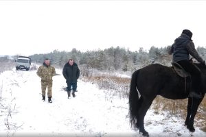 В курской области ущерб от незаконных рубок деревьев превысил 32 миллиона рублей