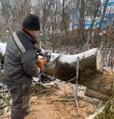 В Курске убирают деревья, поваленные ветром на историческом Никитском кладбище