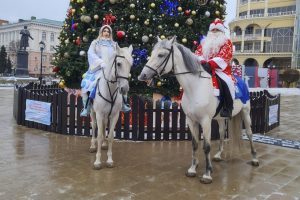 Год Лошади несёт добро