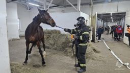 В конноспортивной школе Курска тушили условный пожар