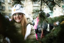 Парк Героев Гражданской войны в Курске украсила новогодняя ёлка