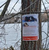 На озере Стезева дача в Курске установили предупреждающие аншлаги об опасности тонкого льда