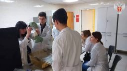 В Курском медуниверситете разрабатывают новый препарат для защиты и лечения печени