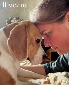 В Курской области наградили победителей конкурса фотографий домашних животных