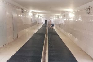 В Курске обновили покрытие в подземном переходе на проспекте Плевицкой