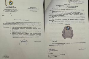 В Курской области появится новое звание «Народный мастер Курской области»