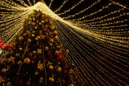 По просьбе юной курянки установят дополнительную ёлку в парке Героев гражданской войны