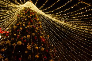 По просьбе юной курянки установят дополнительную ёлку в парке Героев гражданской войны