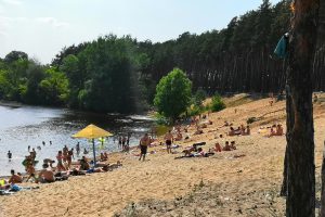 В Курской области к открытию готовят 31 пляж