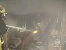 В посёлке Камыши под Курском из-за неисправной газовой плиты произошёл пожар в квартире