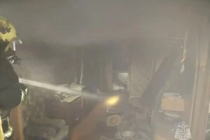 В посёлке Камыши под Курском из-за неисправной газовой плиты произошёл пожар в квартире