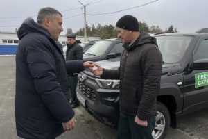 От леса до линии фронта