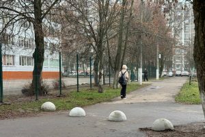 Возле 55-й школы Курска установили полусферы