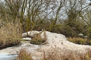 В Курской области выявили сброс неочищенных стоков в реку Апока
