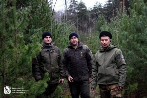 В Курской области с начала декабря провели 65 патрулирований хвойных лесов