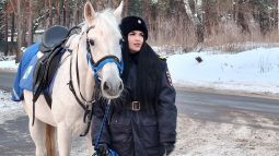 Курская полиция будет нести службу в усиленном режиме